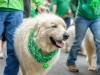RICH TAYLOR PHOTOGRAPHY-RTP_1454